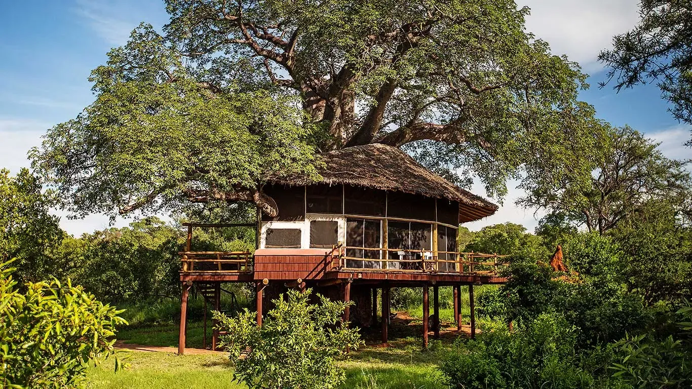 Tarangire Treetops luxury tree lodge