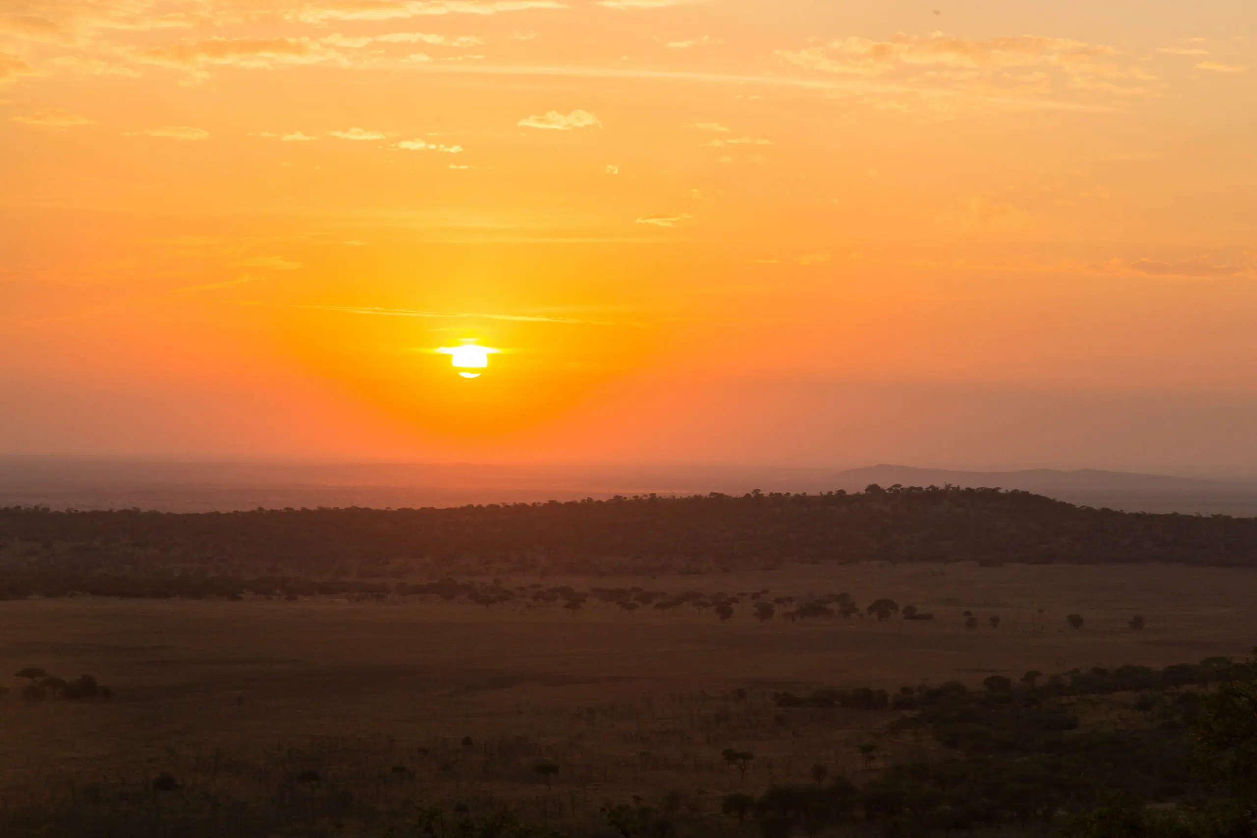 Northern Tanzania Safari through Tarangire, Serengeti and Ngorongoro Crater