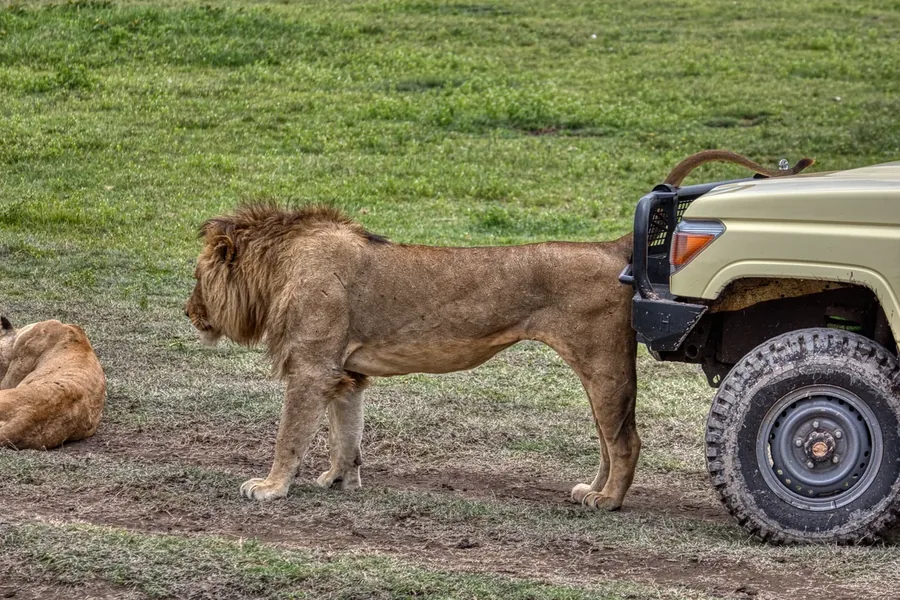 Tanzania safari and Zanzibar island combination journey