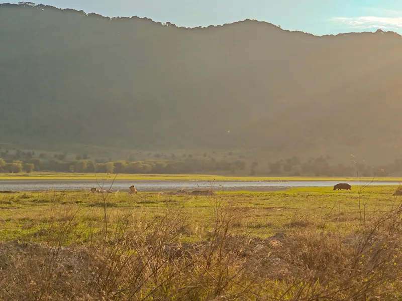 Tanzania Signature Safari 10 days premium experience