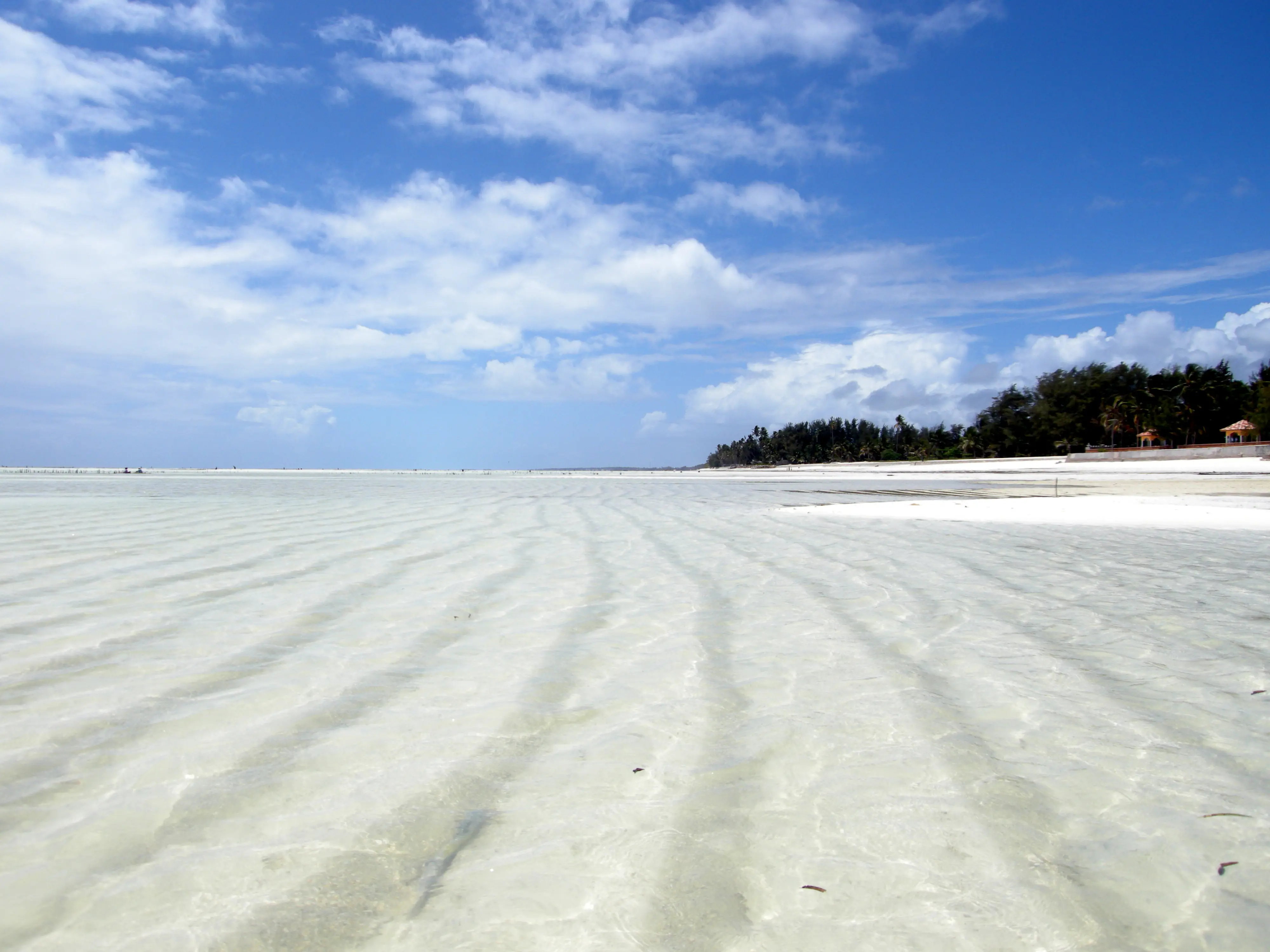 Paje beach, southeast coast Zanzibar
