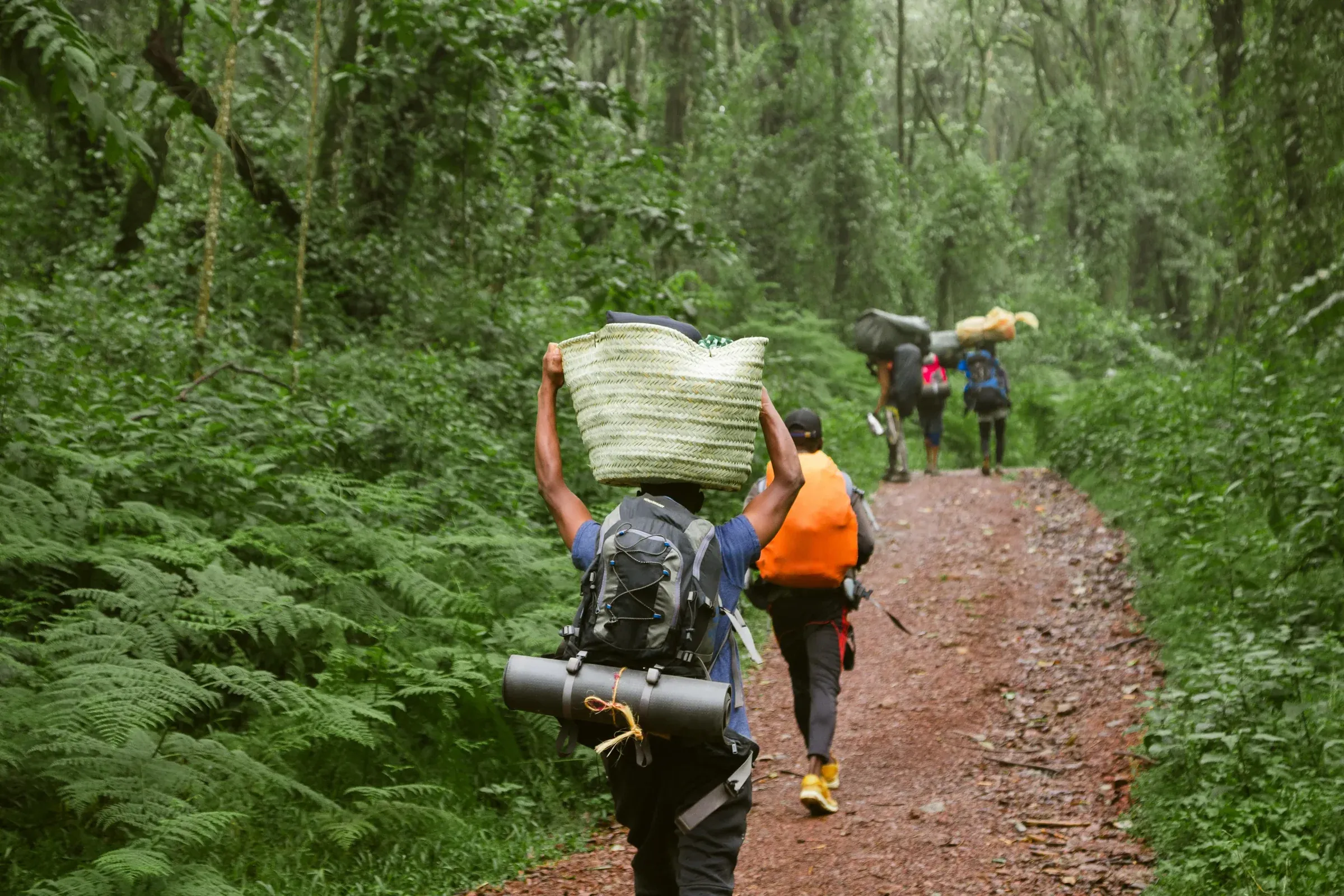 Kilimanjaro Machame Route climb through alpine desert to Uhuru Peak
