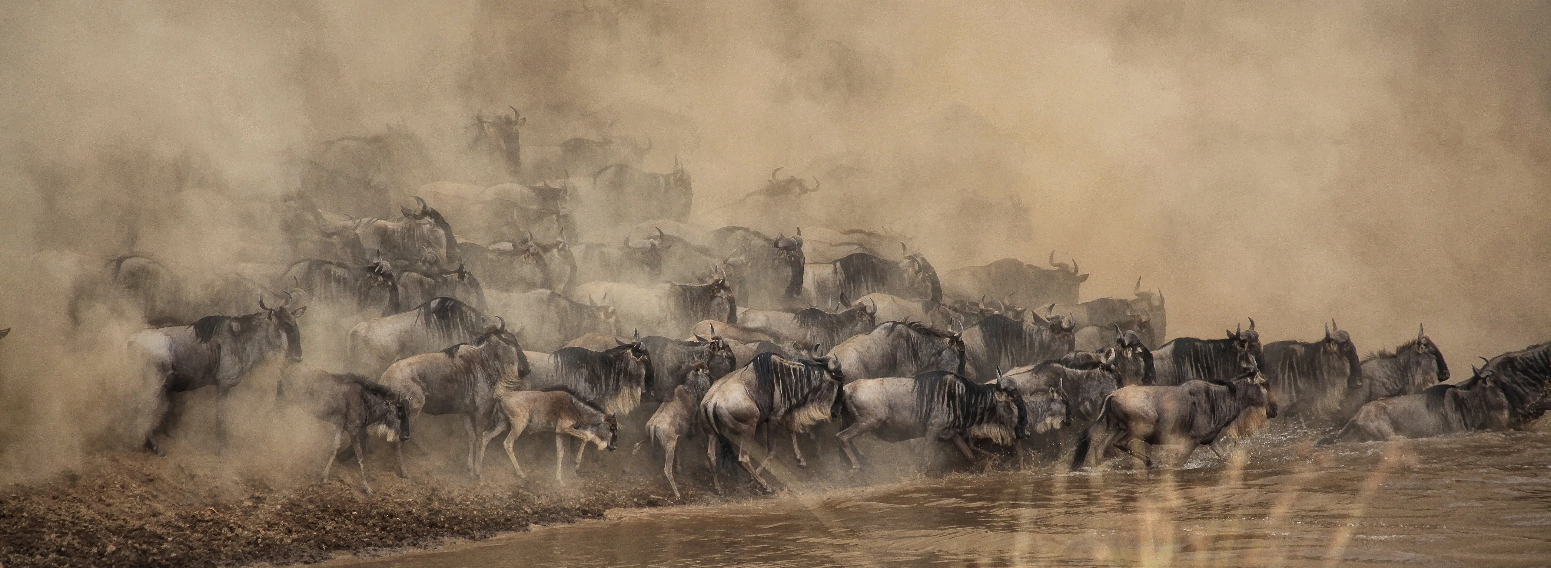 Great Migration Safari in Serengeti