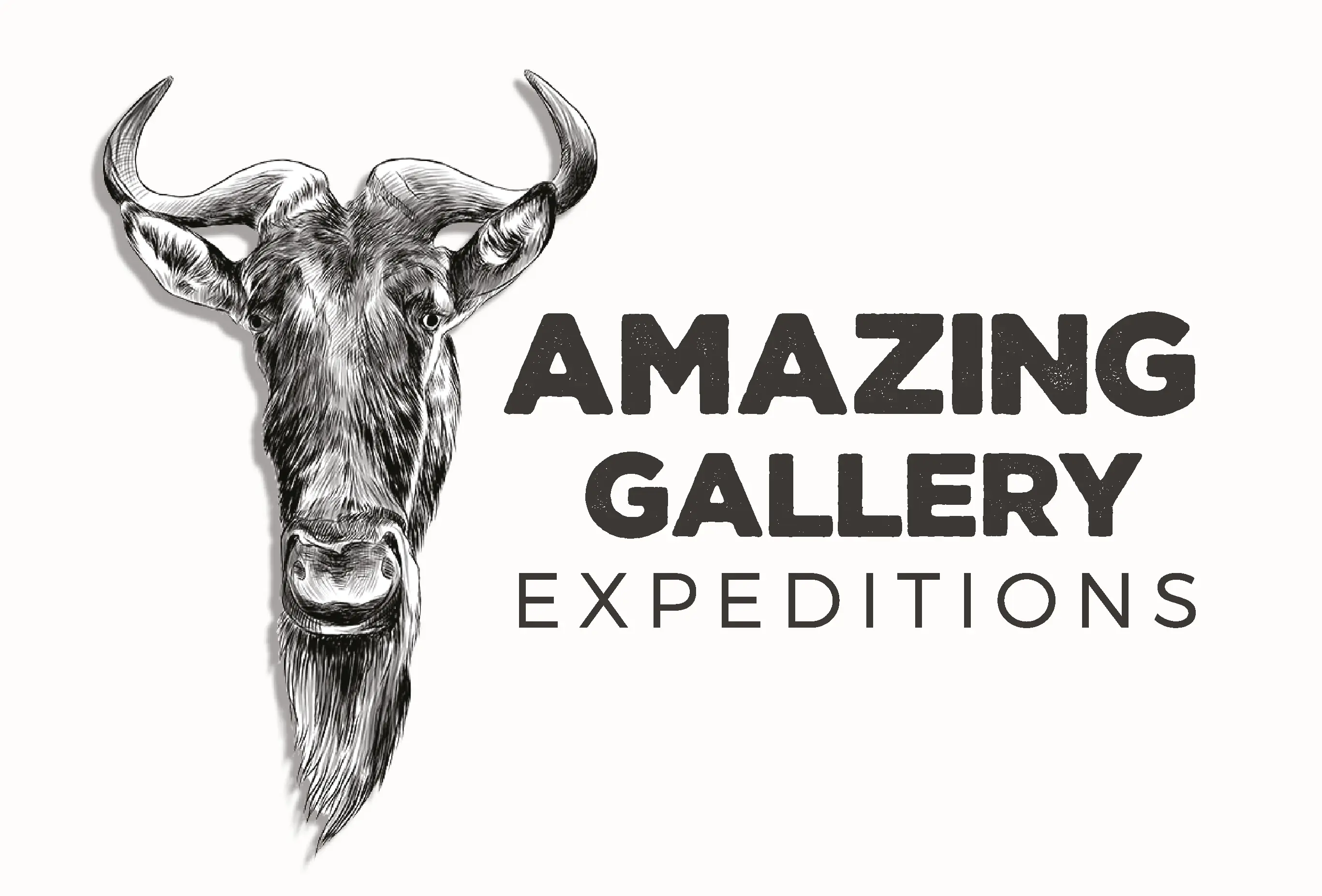 Amazing Gallery Expeditions Logo