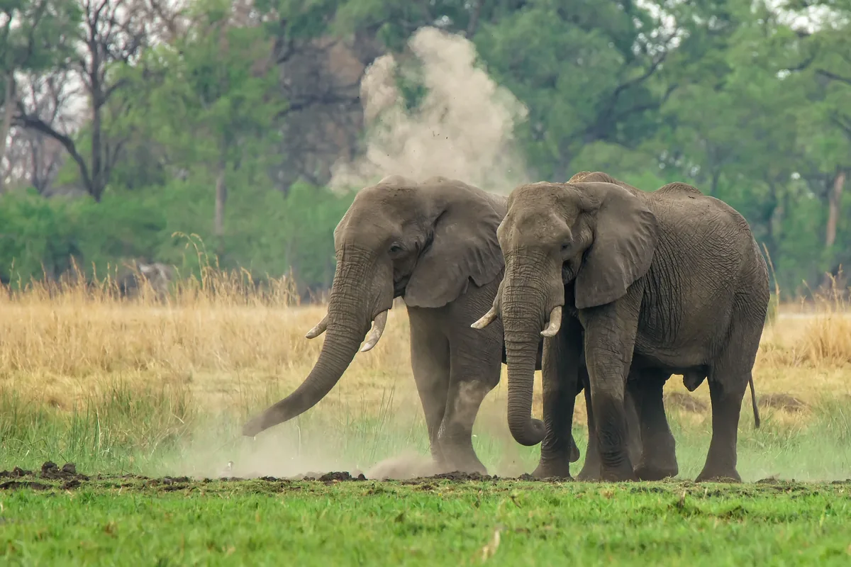 Short Northern Escape Tarangire and Manyara four day safari Arusha