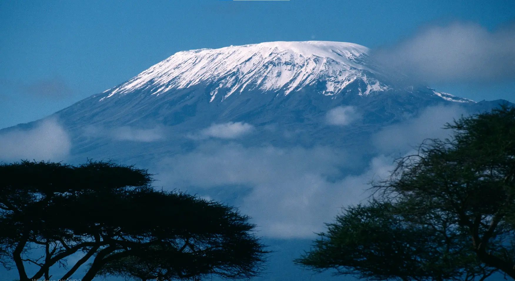 Tanzania safari planning session