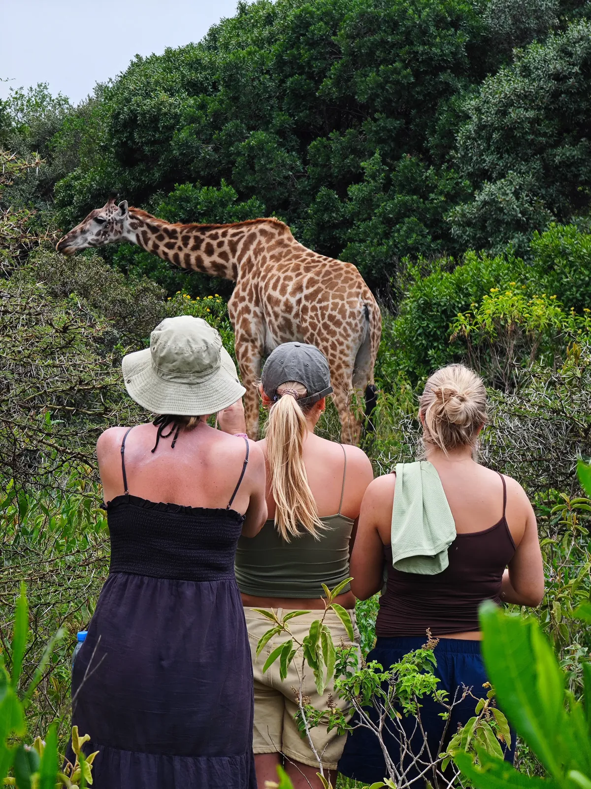 Family on safari in Tanzania watching wildlife