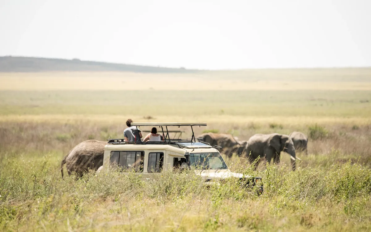 Private safari vehicle in a Tanzania national park