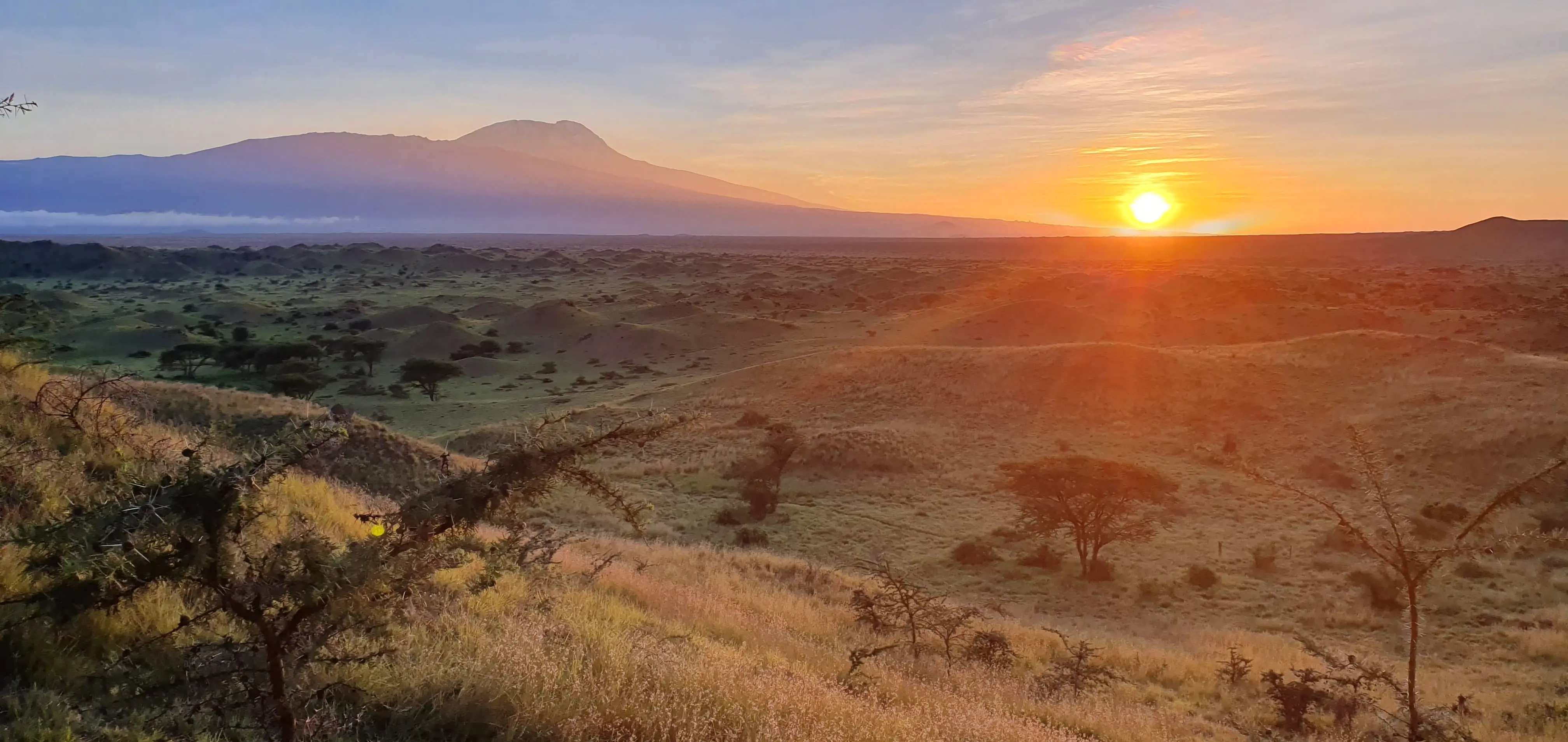 Why safari in Tanzania, Serengeti open plains landscape